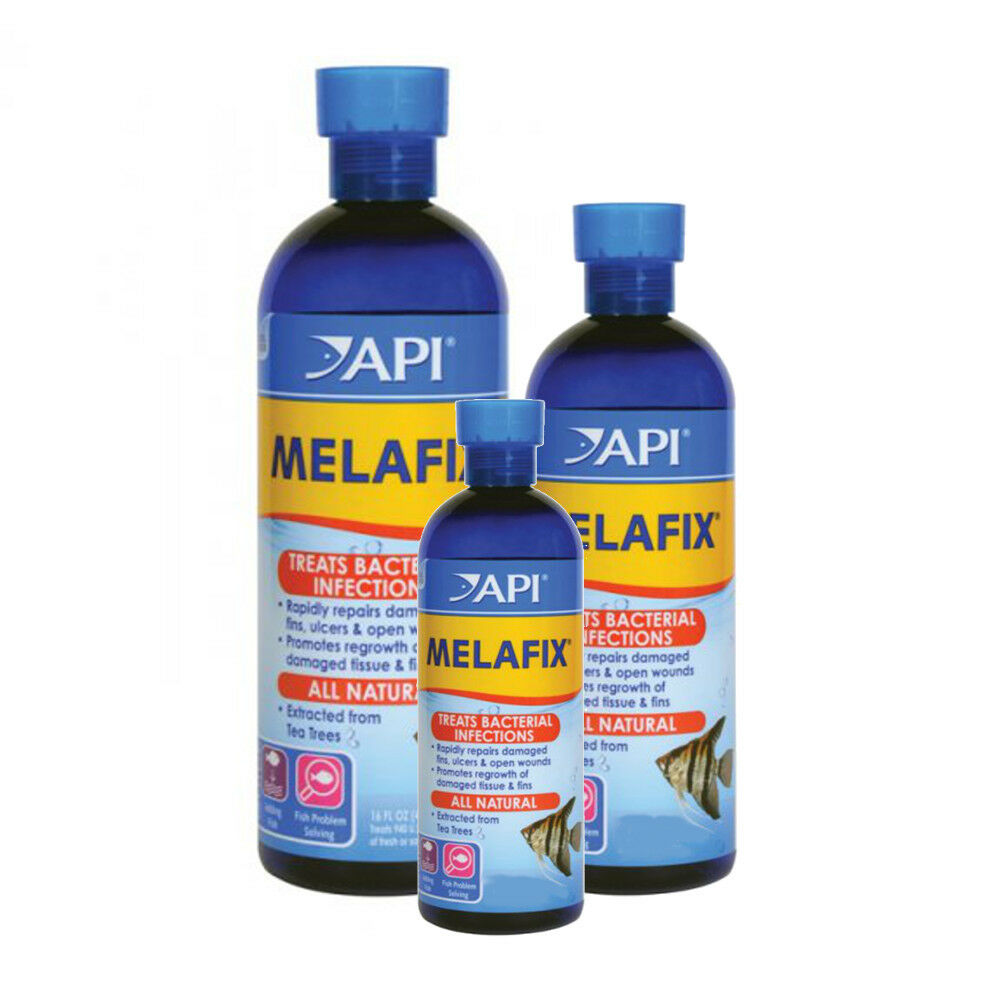 Api Melafix Freshwater Fish Infection Remedy   (free Shipping)